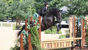 Horse Show Solutions: Improve your Hunt Seat Equitation