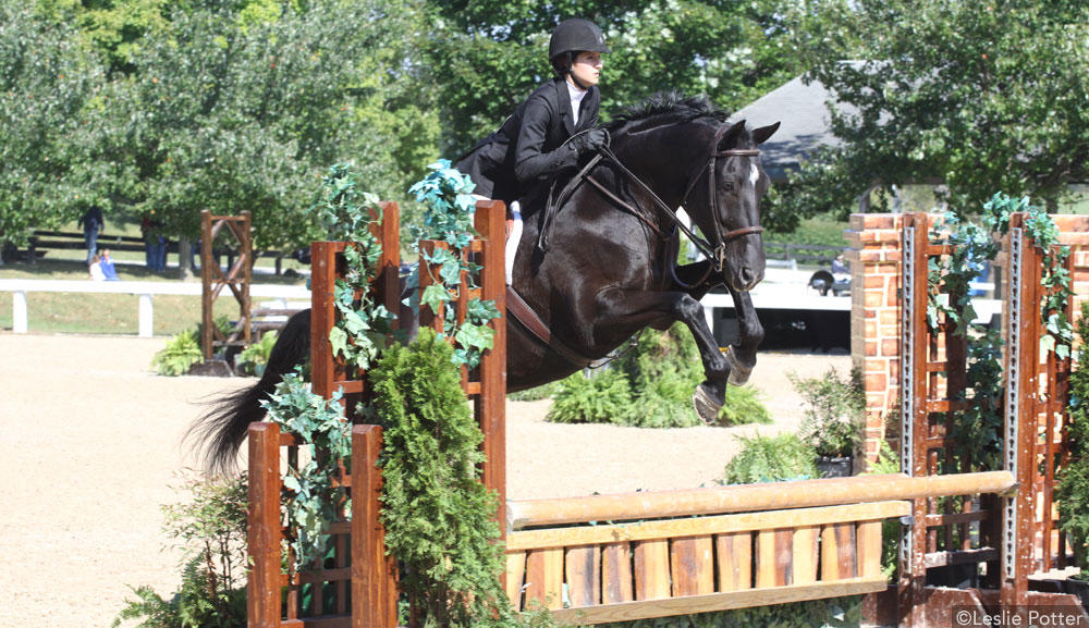 Horse Show Solutions: Improve your Hunt Seat Equitation