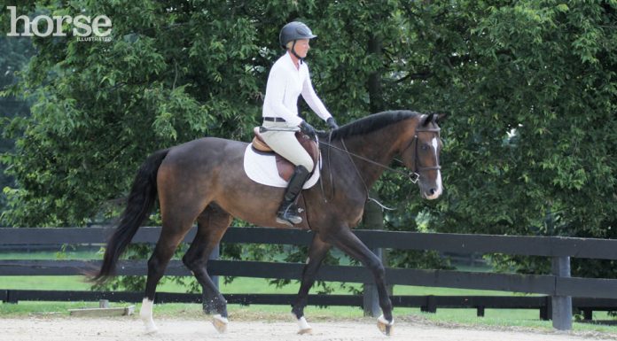 hunt seat trot schooling