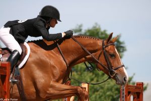 Hand Position for Hunt Seat Riders