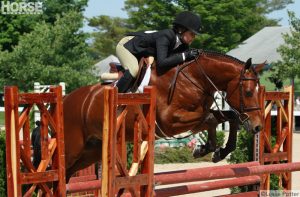 9 Tips for Better Jumping with Your Horse