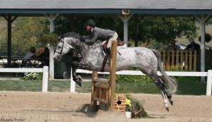 Horsemanship How-to: Count Strides Between Jumps