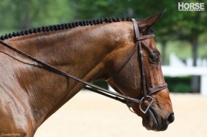 Upgrade Your Horse’s Mane Braids