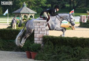 Make Your Own Hunter Derby Fences