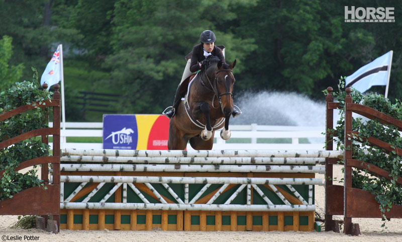 Introduction to Jumping in Horseback Riding