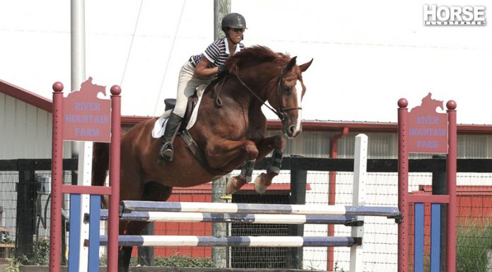 hunter schooling