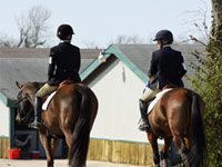Thoroughbred Incentive Program encourages equestrians to compete with ex-racers hunter show friends