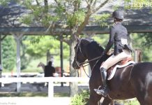 rider at a horse show
