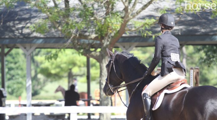 rider at a horse show