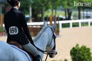 Signs You Have the Wrong English Bit