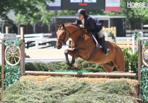 How to Handle the Chaos of the Horse Show Warm-up Ring