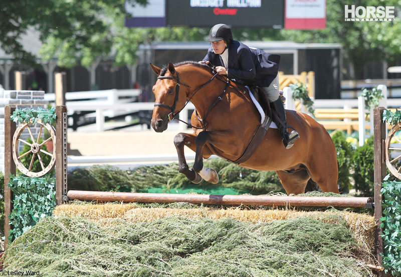 How to Handle the Chaos of the Horse Show Warm-up Ring
