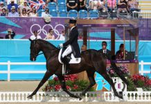 German equestrians take an early lead in day one of Olympic three-day eventing klimke dressage