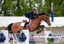 ian millar angelstone