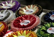 ihsa nationals ribbons