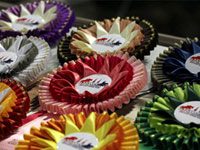 Intercollegiate equestrians recognized for dedication to community service ihsa nationals ribbons