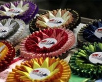 ihsa nationals ribbons