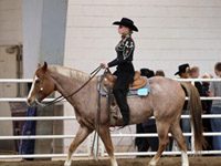 ihsa western horsemanship