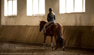 The Equestrian Business Traveler