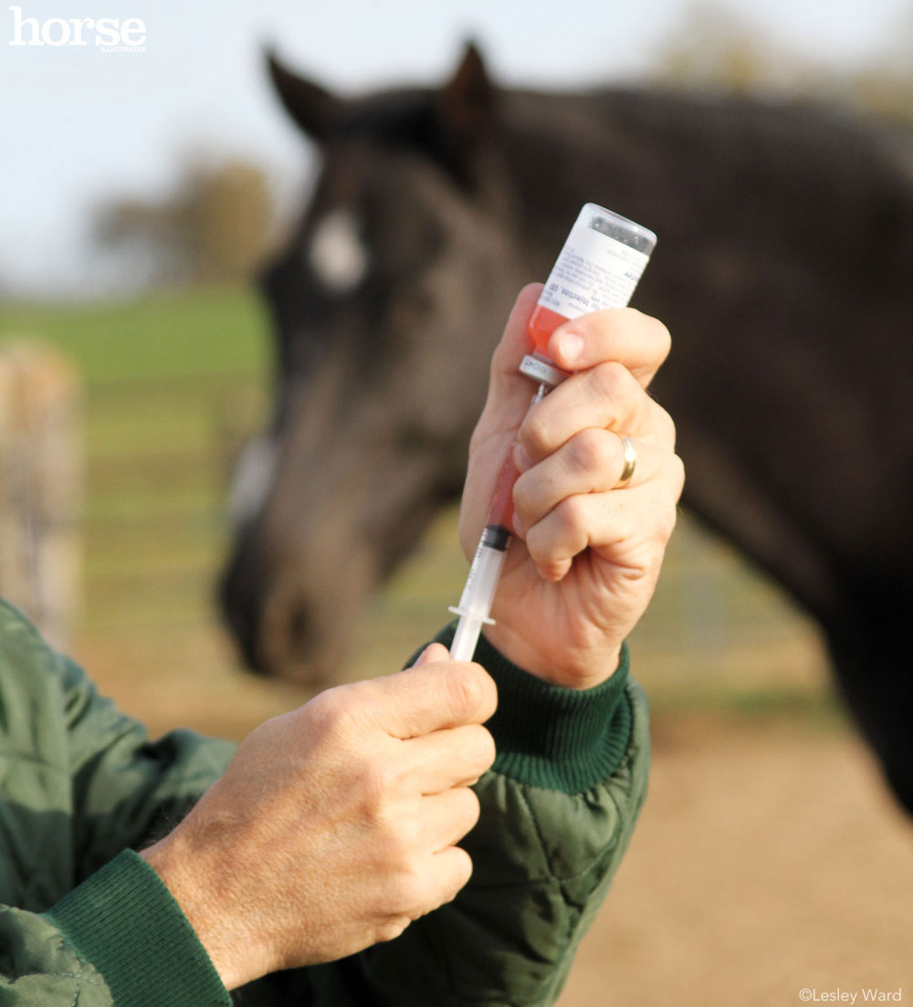 Administering Injectable Medications to Horses