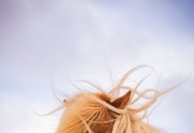 Inspired by Icelandic Horses icelandic horses