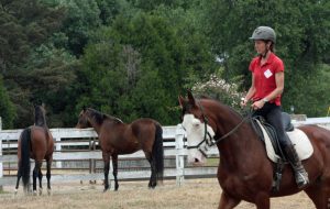 Trail Riding for Dressage Horses