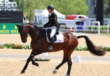 Gallery: Dressage Day One at the 2017 Rolex Kentucky Three-Day Event jessica phoenix pavarotti dressage