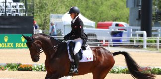 jessica phoenix pavarotti dressage
