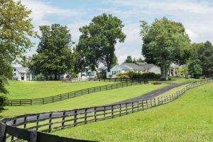 Your dream home is on the market: Johnny Depp’s horse farm goes to auction