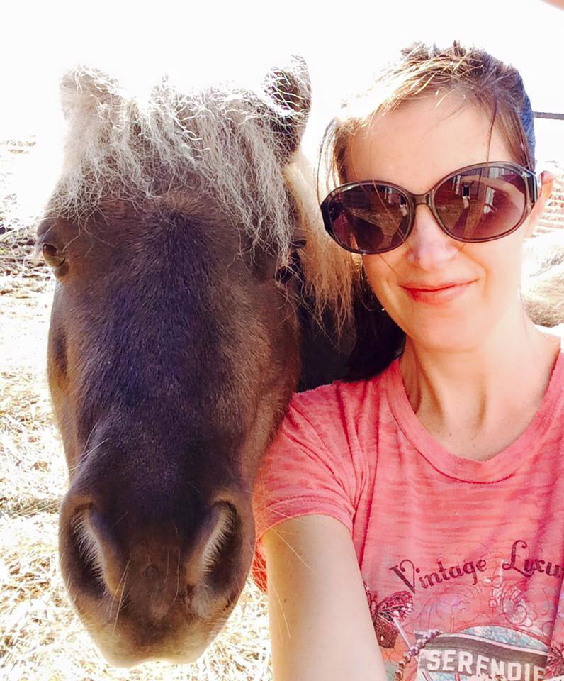 Three Ways to Gain Horse Experience Without Spending Money