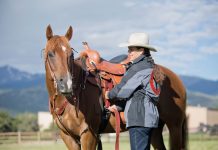 julie goodnight cinch