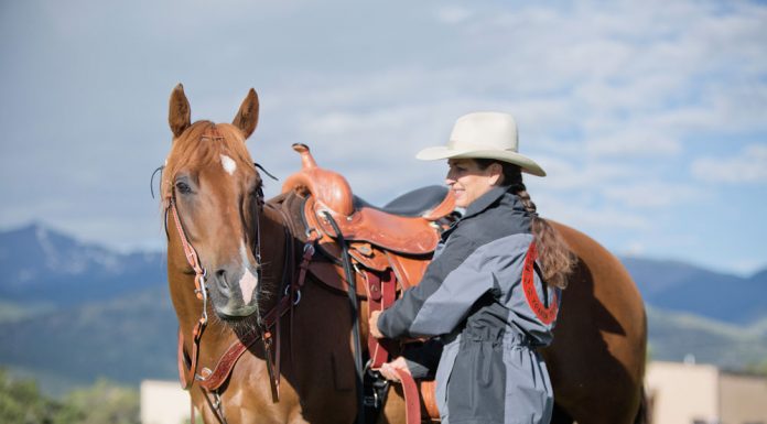 julie goodnight cinch