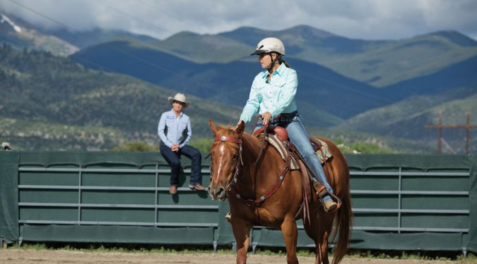 julie goodnight extended trot