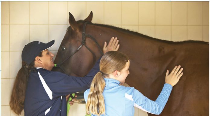 julie goodnight praise