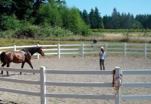 julie goodnight round pen