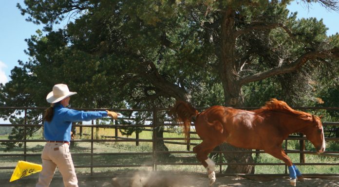 julie goodnight roundpen