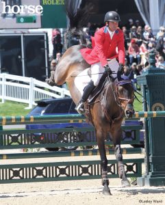 Tendon Injuries in Older Horses