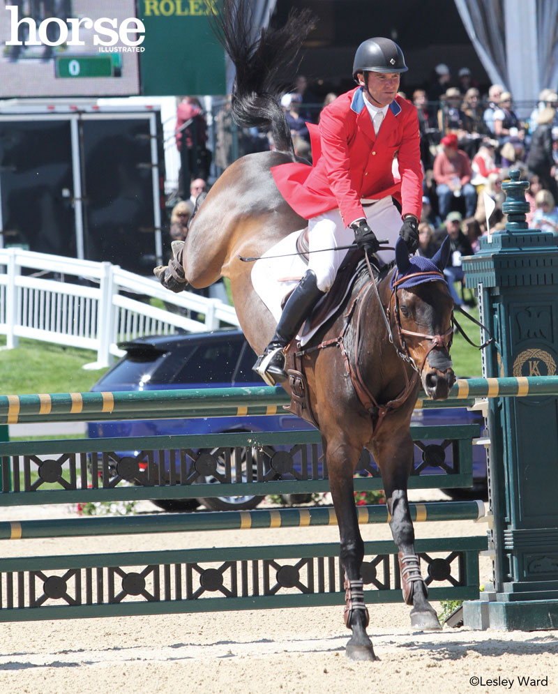 Tendon Injuries in Older Horses