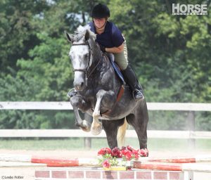 Jumping Exercises for Small Arenas