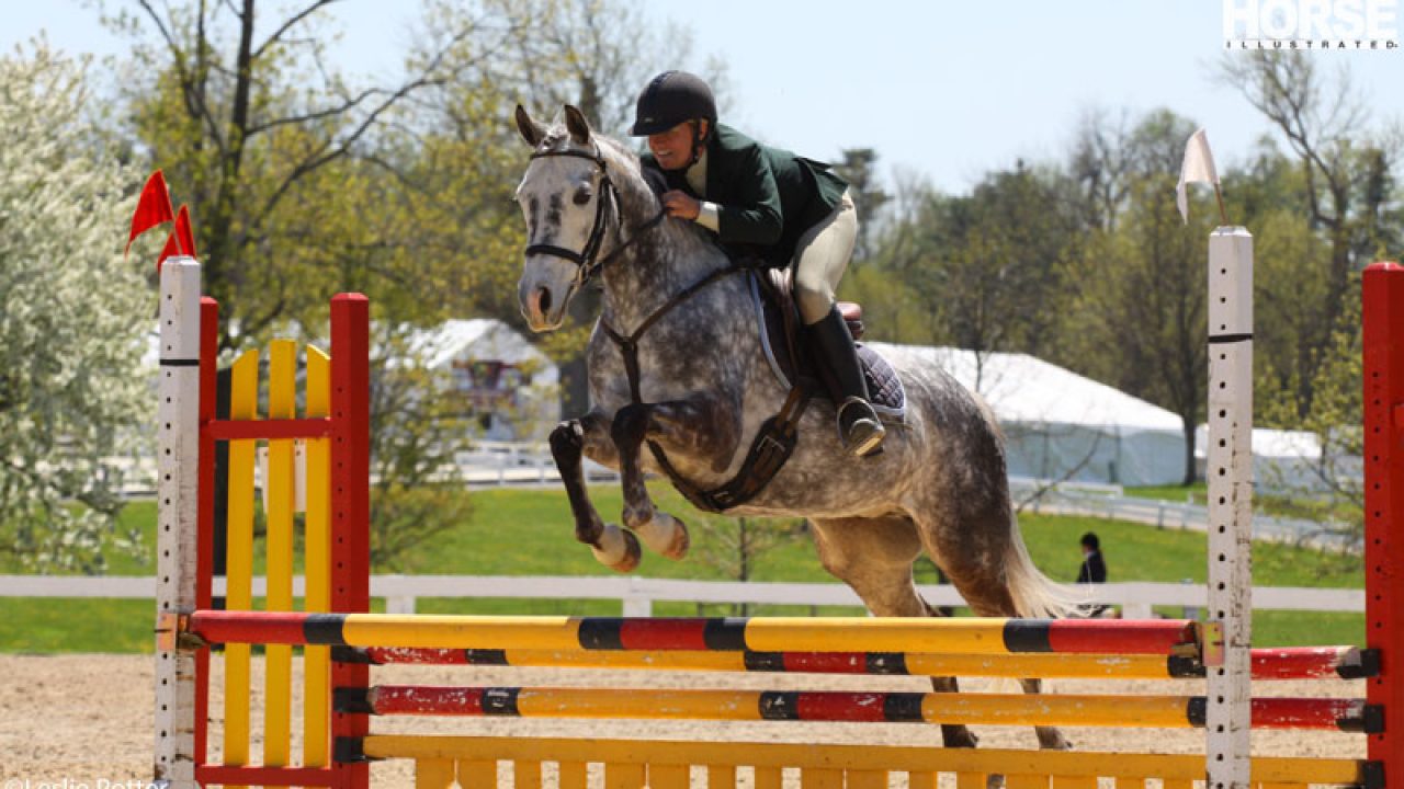 dapple-grey-horse-jumping