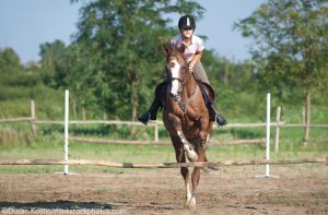 8 Materials to Never Use for Building Jumps