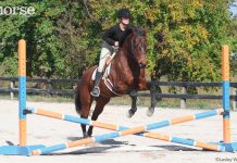 Horse and rider jumping over a crossrail