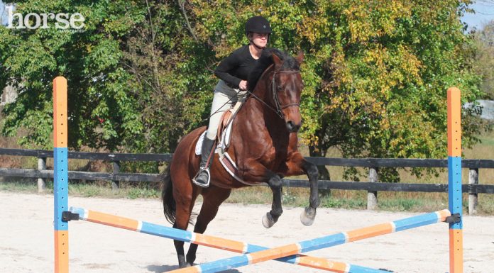 Horse and rider jumping over a crossrail