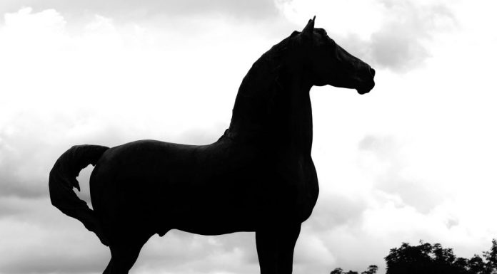 Justin Morgan Statue at the UVM Morgan Horse Farm