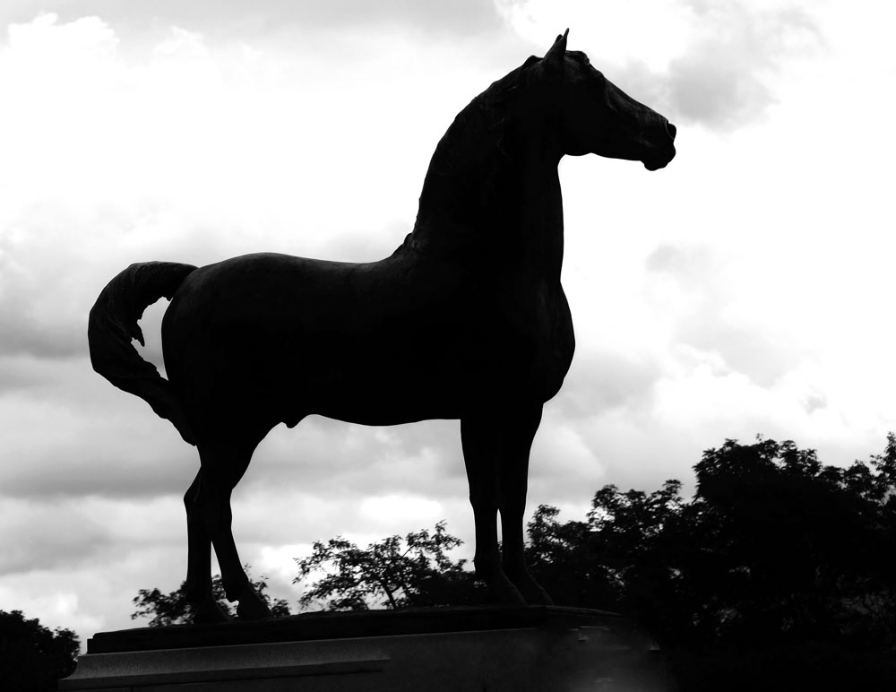 Justin Morgan Statue at the UVM Morgan Horse Farm