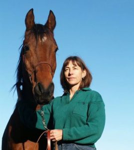 Adventures in Moving Part I: Decision Time for a Senior Horse