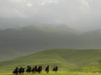 kazakhstan horses