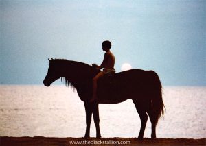 Life on the Set of The Black Stallion