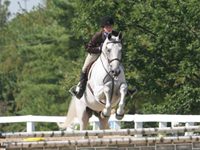 kentucky hunter jumper