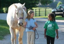 Speakers sought for American Youth Horse Council Symposium kids at the barn